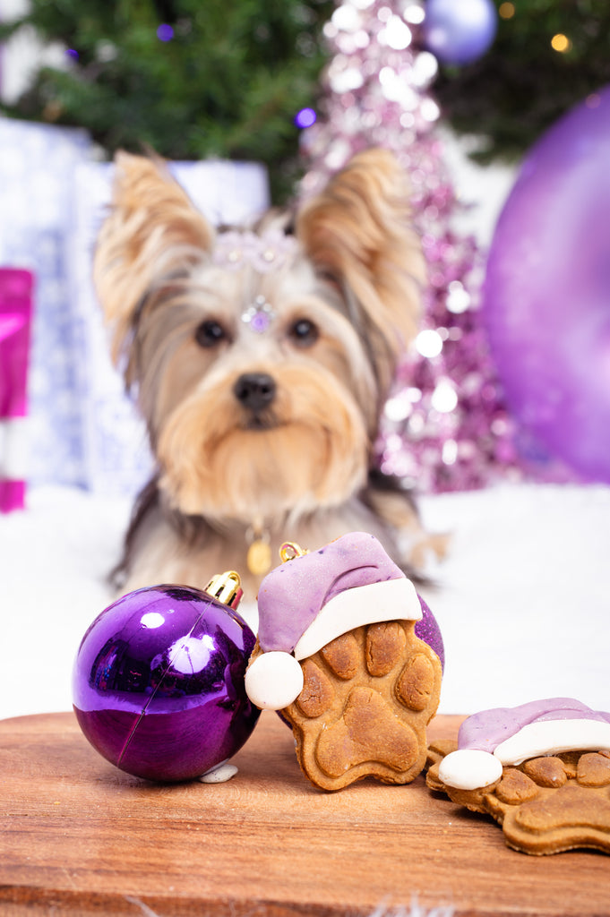 Is BACK! Santa's Paw Prints