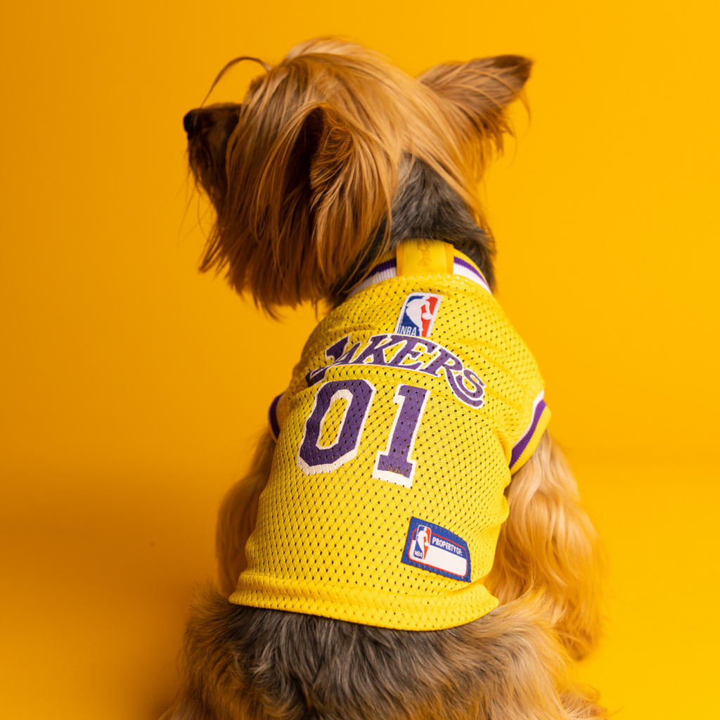 Pet NBA Jerseys Dog and Cat NBA Jerseys natutreats