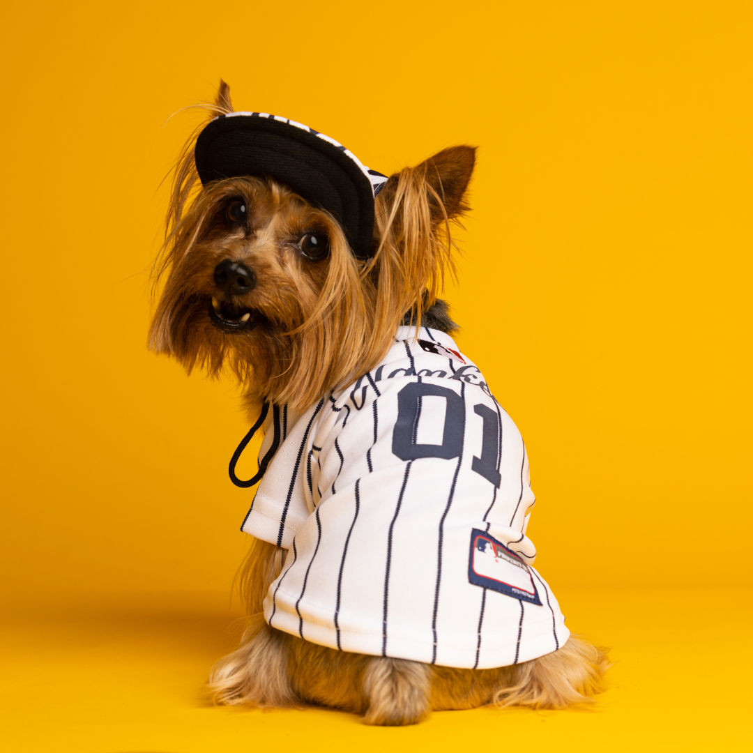 Mlb Brewers Dog Jersey Mlb Jerseys Dog Yankees Jersey Pets First